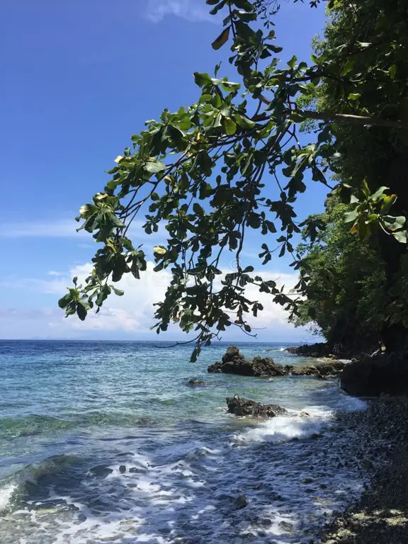 Pemandangan pantai di Ambon yang indah