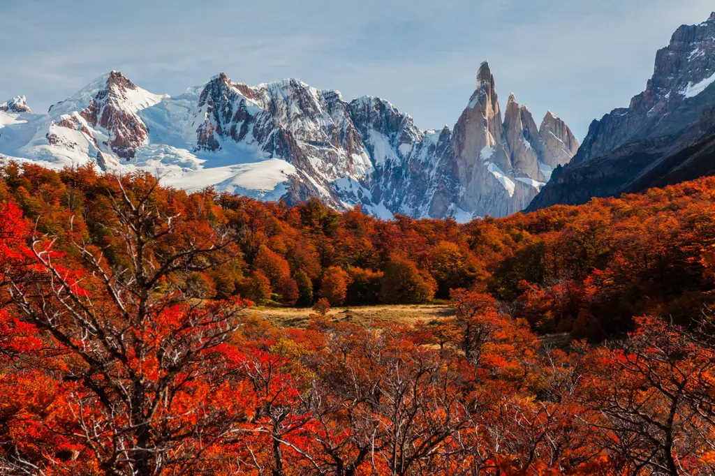 Pemandangan alam Argentina yang indah