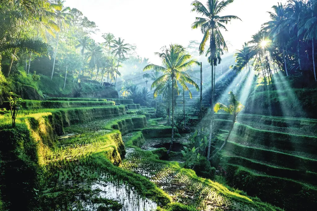 Pemandangan pantai Bali yang indah