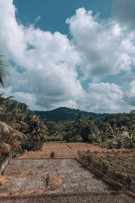 Pemandangan indah Bali