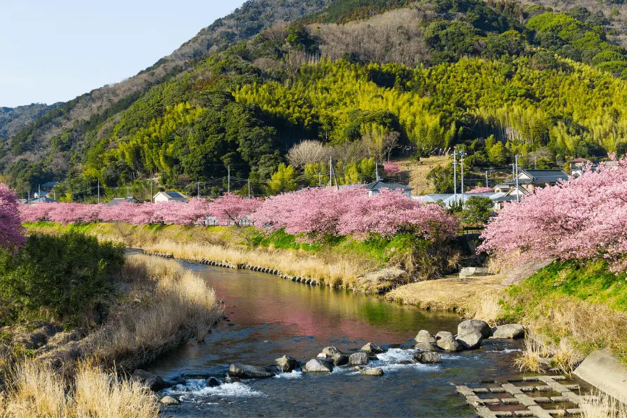 Pemandangan pedesaan Jepang yang indah