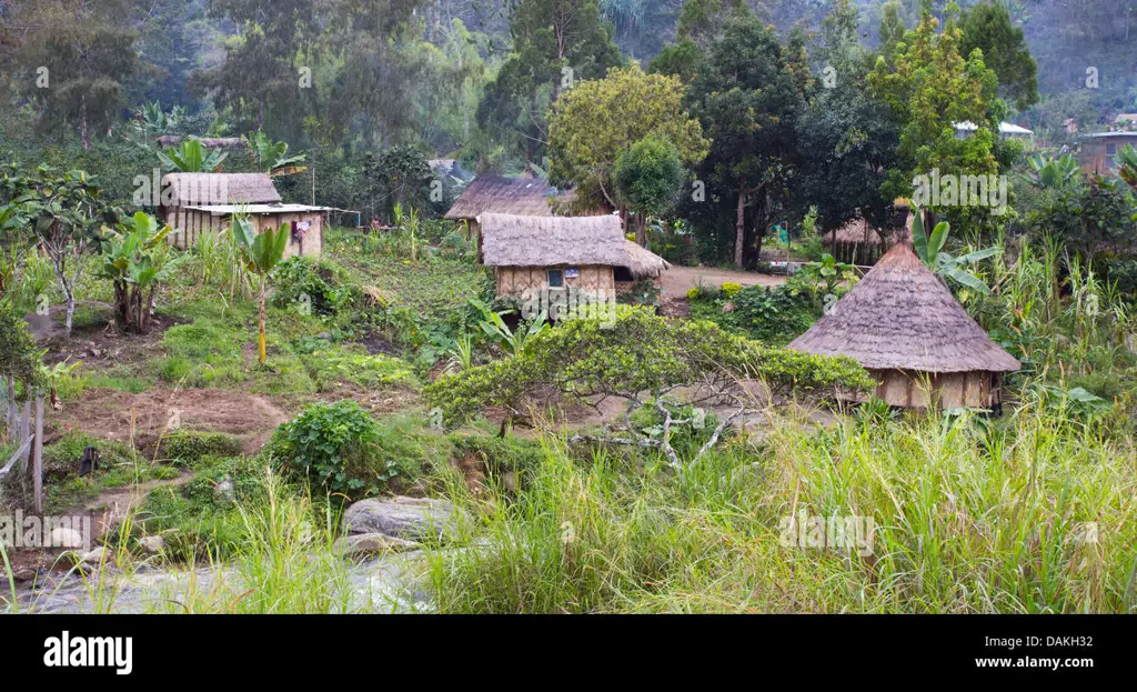 Pemandangan alam Papua dan rumah adat