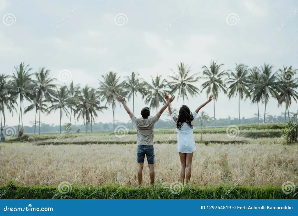 Pasangan di sawah