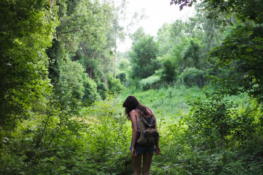 Wanita di dalam hutan