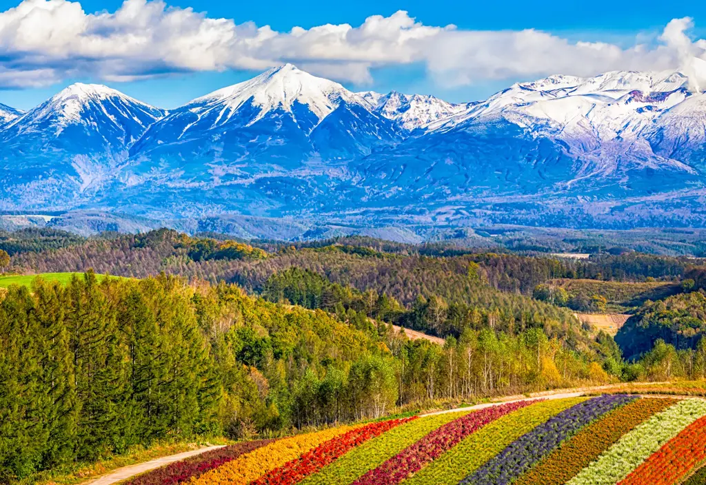 Pemandangan alam Hokkaido yang menakjubkan