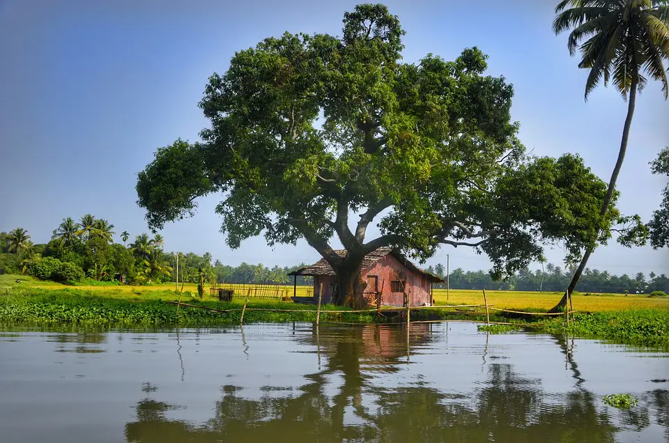 Pemandangan alam India yang menakjubkan