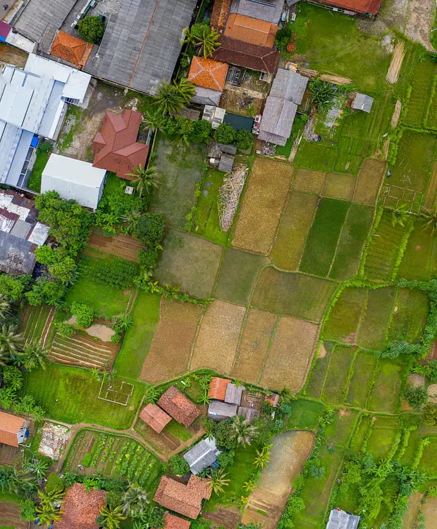 Pemandangan pedesaan di Indonesia yang indah dan damai