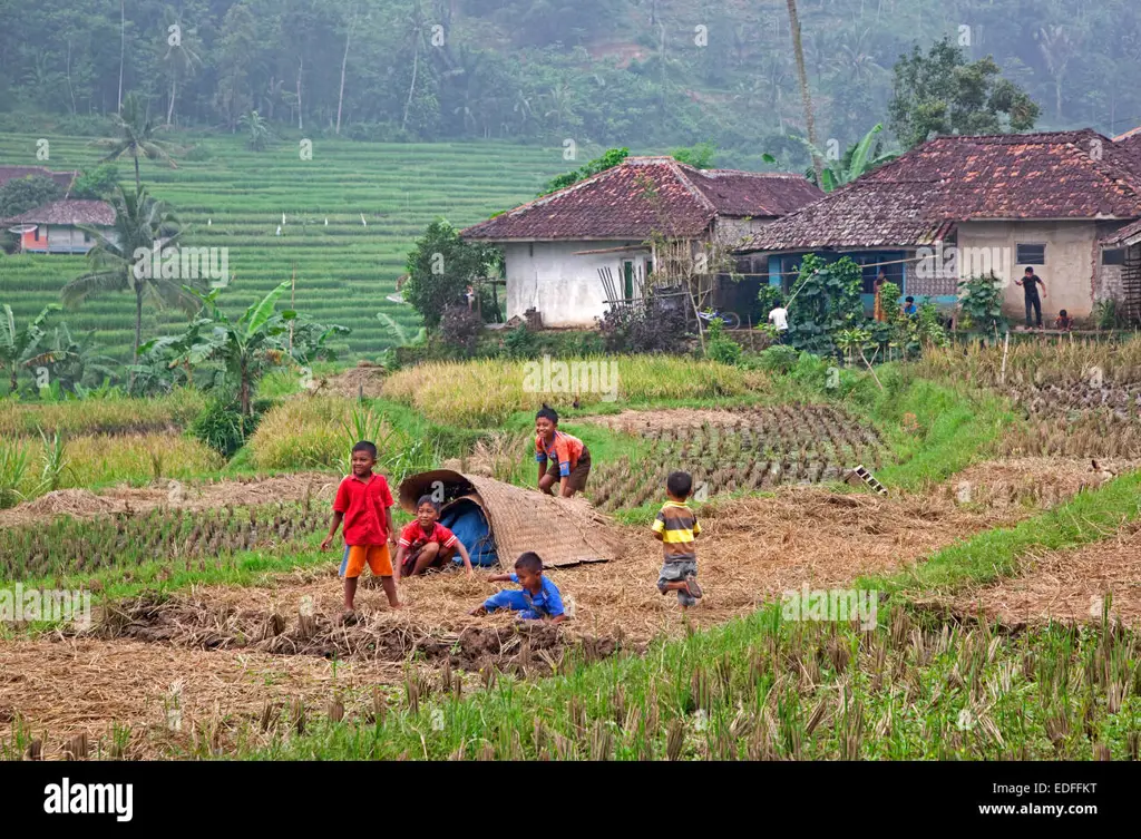 Pemandangan pedesaan yang indah di Indonesia