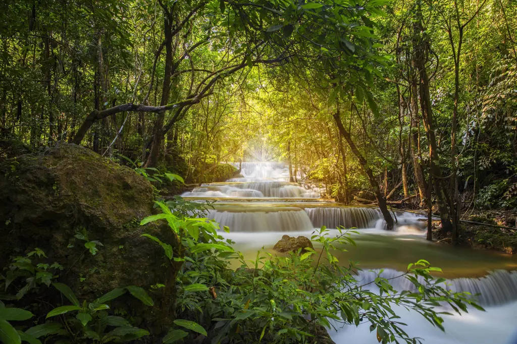 Pemandangan alam yang indah