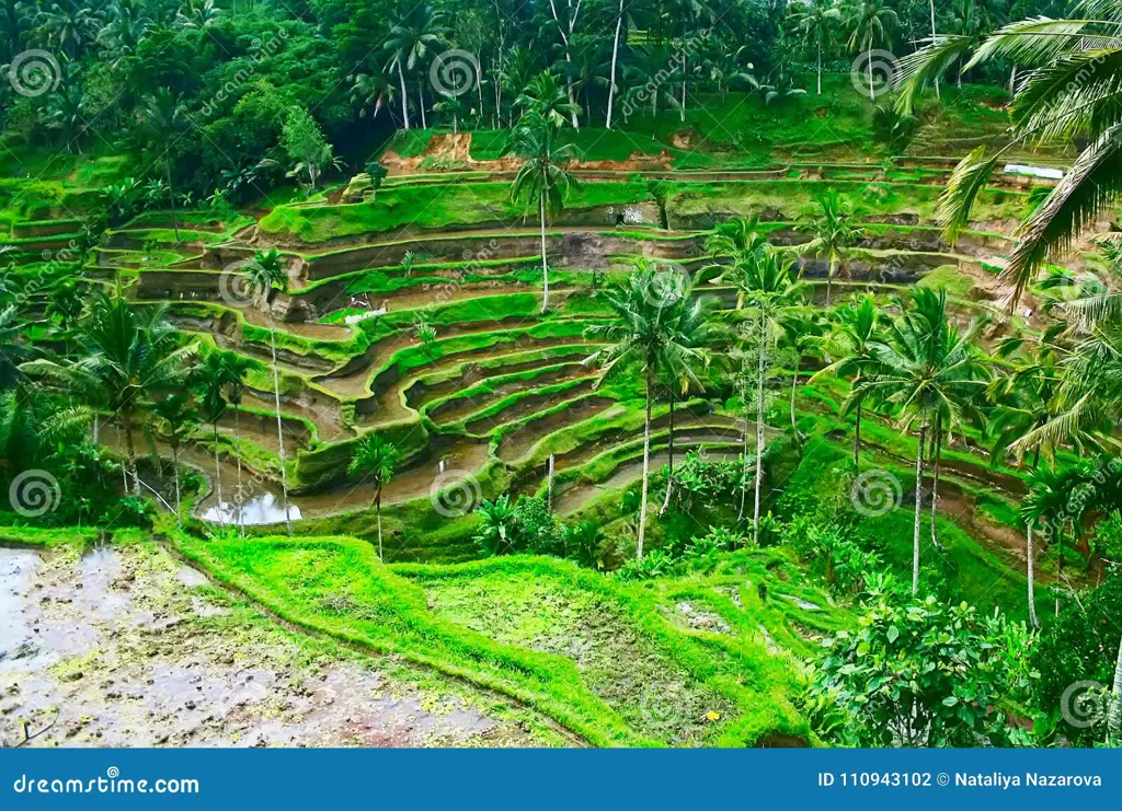 Pemandangan alam Indonesia yang indah