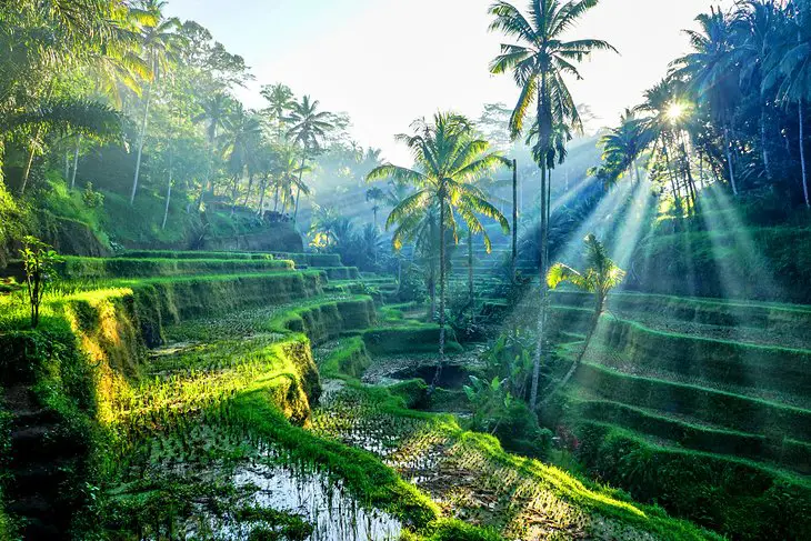 Pemandangan alam Indonesia yang indah