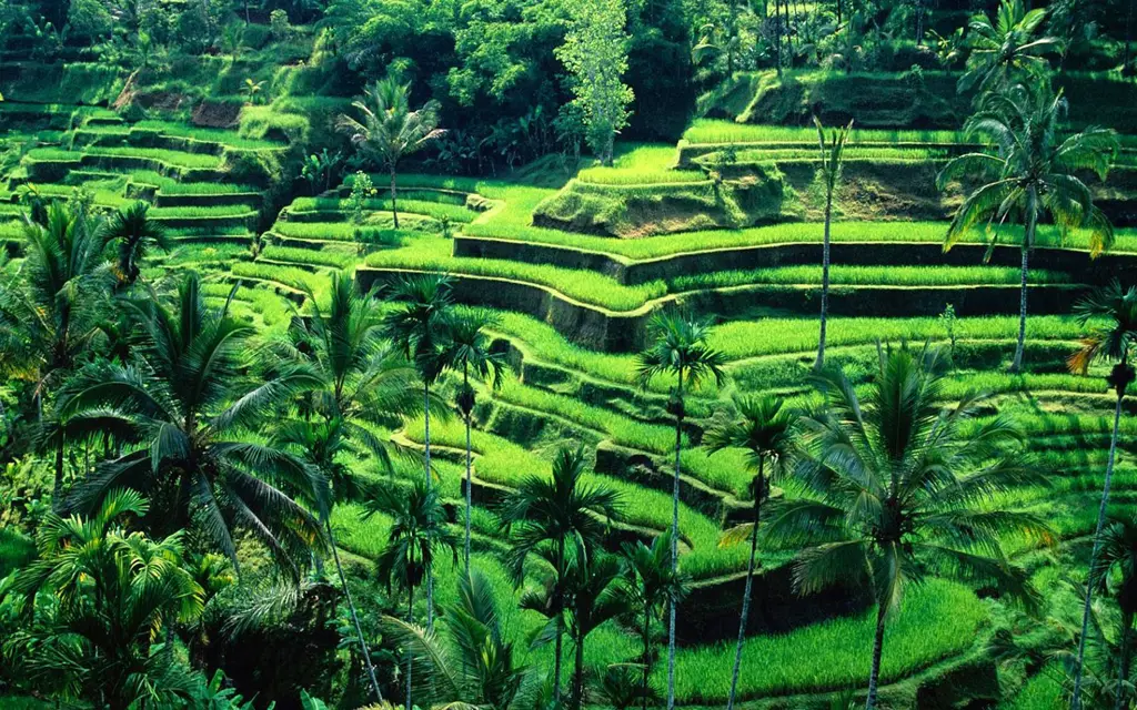 Pemandangan indah di Indonesia