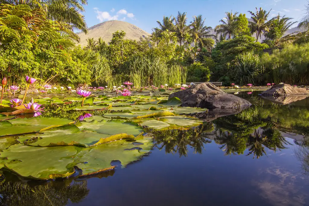 Pemandangan alam Indonesia yang indah