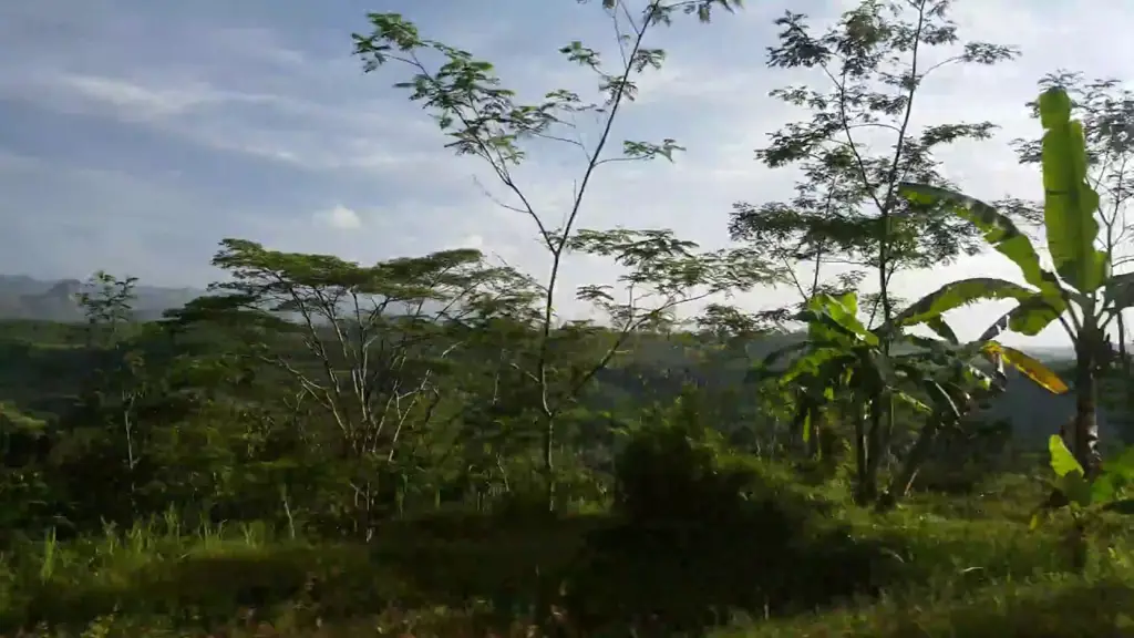 Pemandangan indah di Jawa Barat