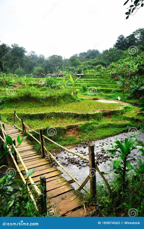 Pemandangan Pulau Jawa yang indah