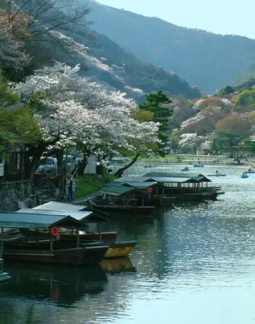 Pemandangan musim semi di Jepang yang indah