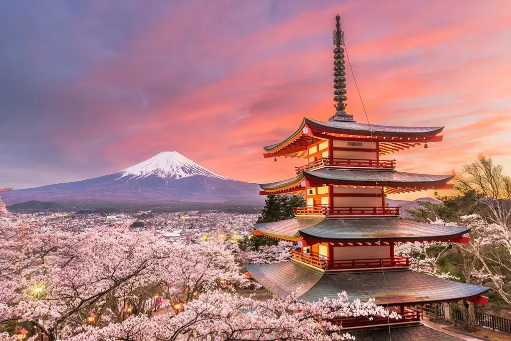 Pemandangan Jepang dengan bunga sakura