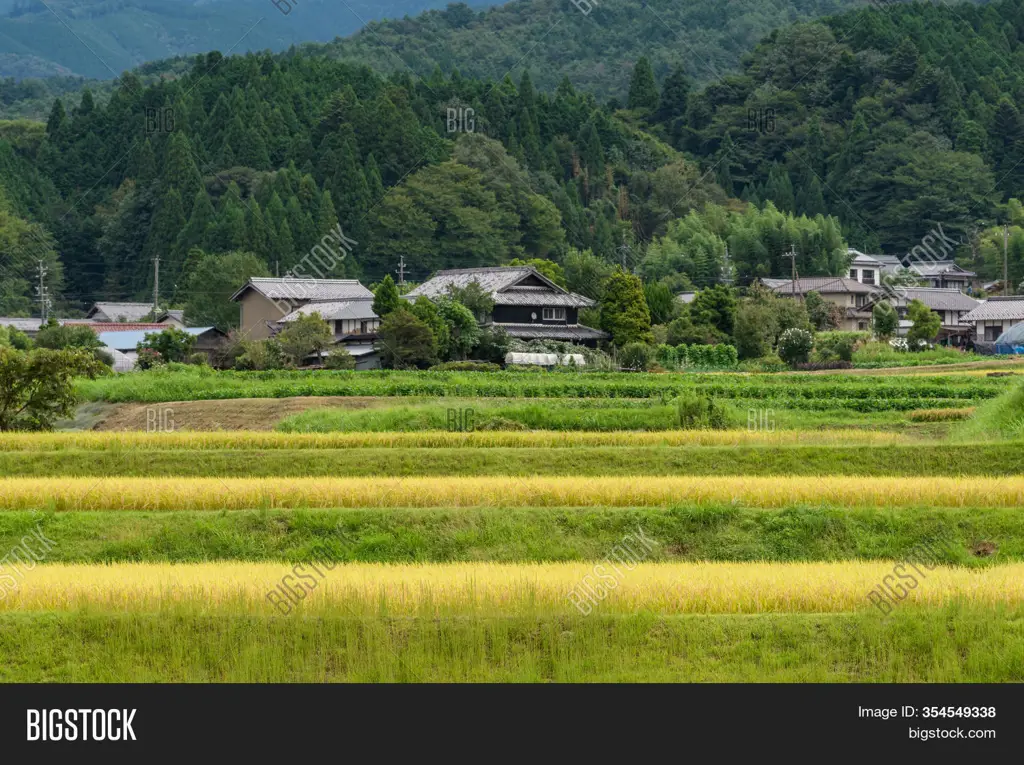 Pemandangan pedesaan Jepang yang indah