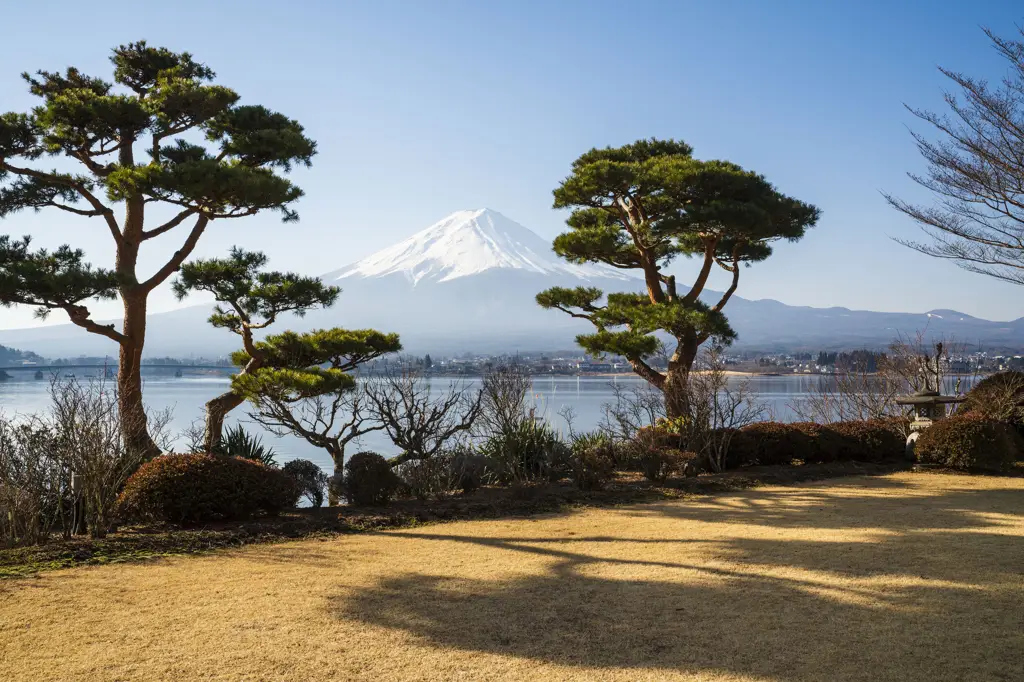 Foto pemandangan alam Jepang