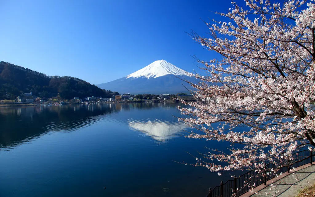 Foto pemandangan alam Jepang yang indah, seperti gunung Fuji atau taman sakura.