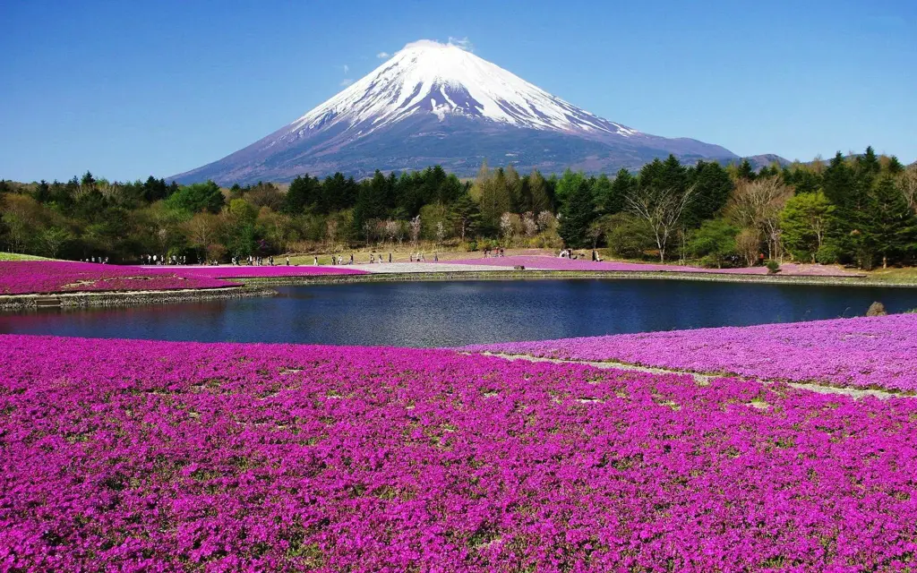 Pemandangan alam Jepang yang indah