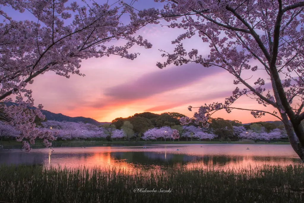 Pemandangan indah di Jepang