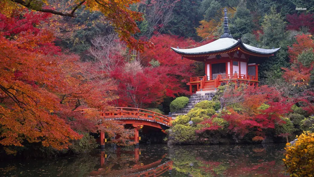 Fotografi pemandangan Jepang yang menakjubkan