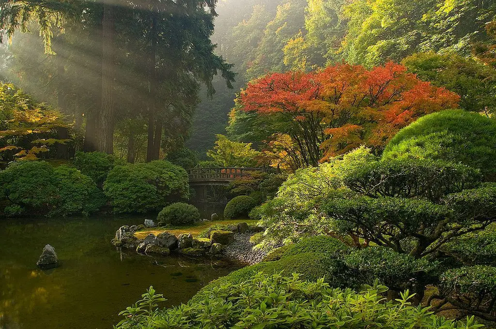 Pemandangan alam Jepang yang indah