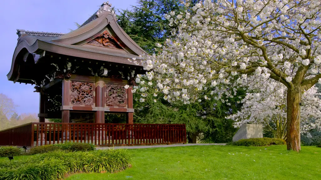 Pemandangan alam di Jepang