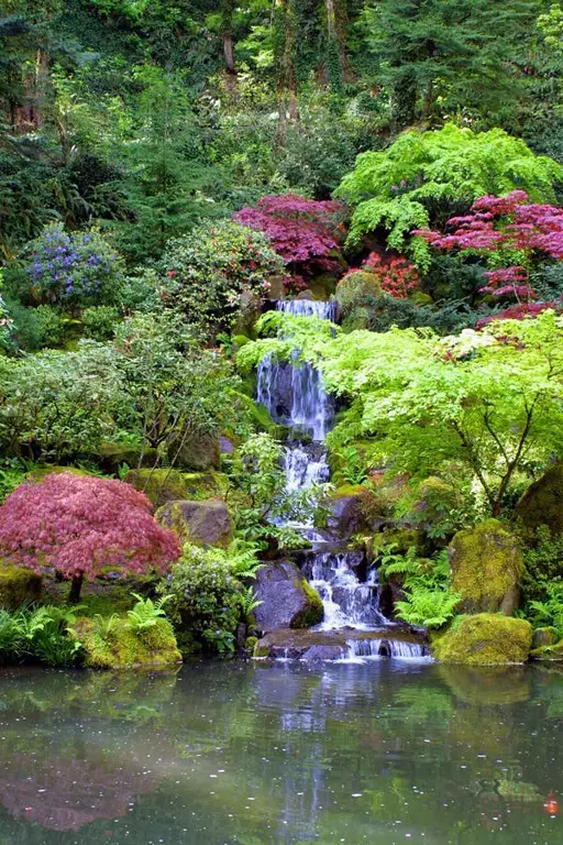 Foto taman Jepang yang indah