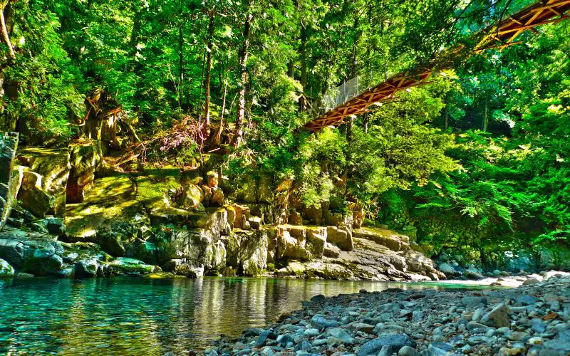 Pemandangan sungai di Jepang yang indah