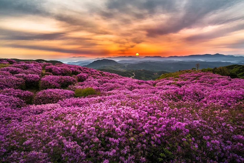 Pemandangan alam Korea yang indah