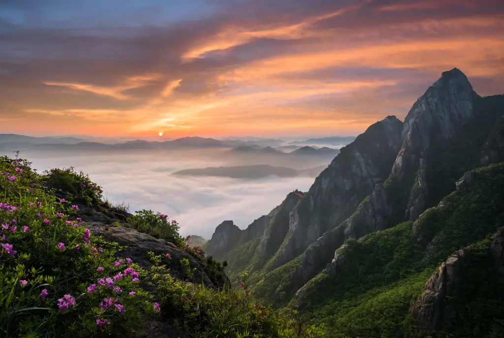 Pemandangan indah di Korea Selatan