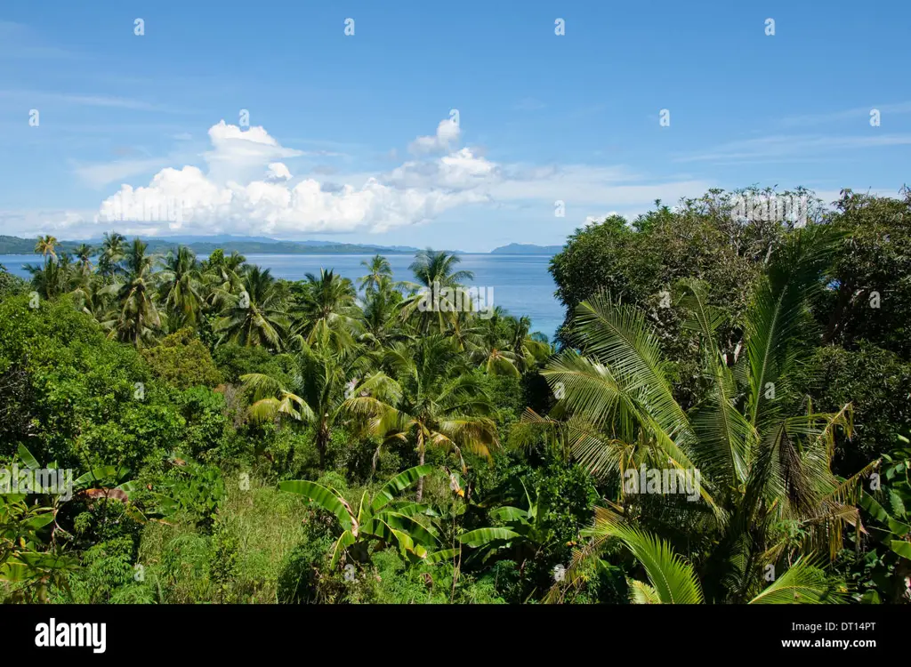 Pemandangan alam Maluku yang indah