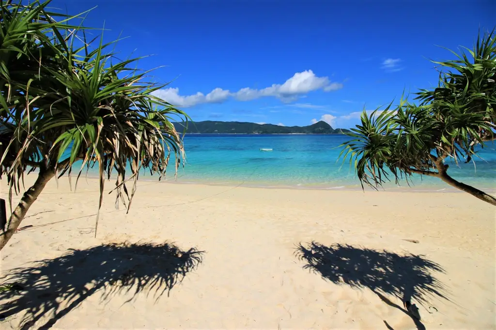 Pemandangan pantai Jepang yang indah