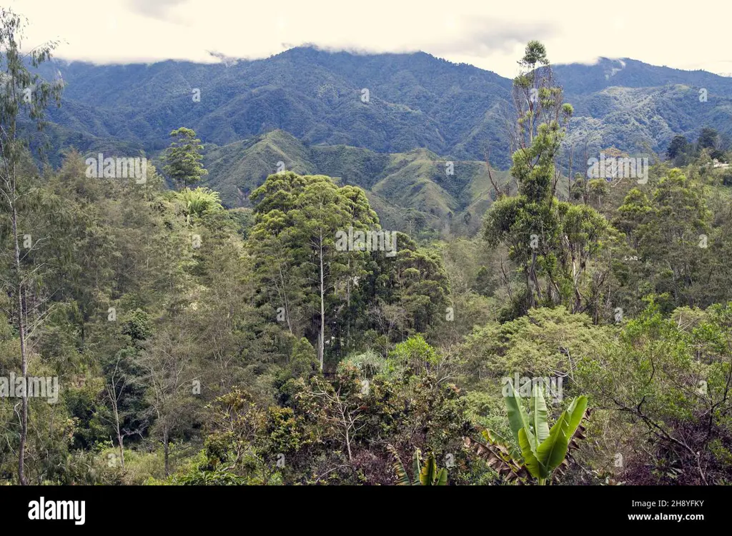 Pemandangan alam Papua yang indah