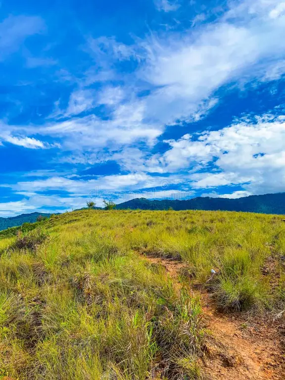 Pemandangan alam Papua yang indah