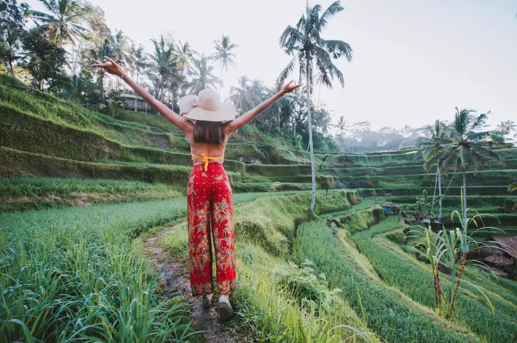 Sawah hijau subur di Bali