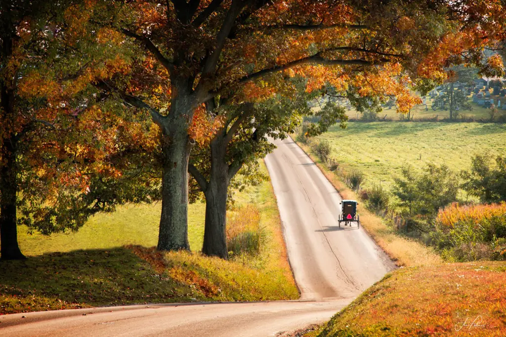 Pemandangan alam yang indah