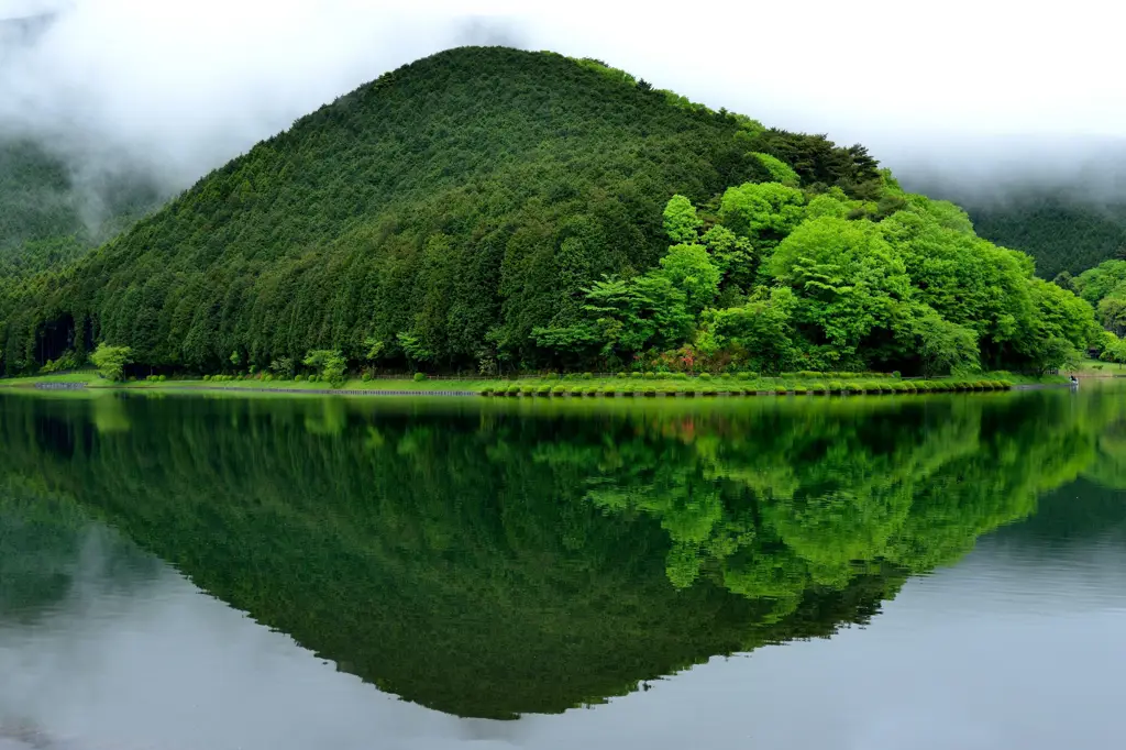 Pemandangan alam Jepang yang indah