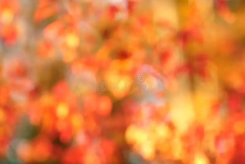 Gambar bokeh daun musim gugur di Jepang