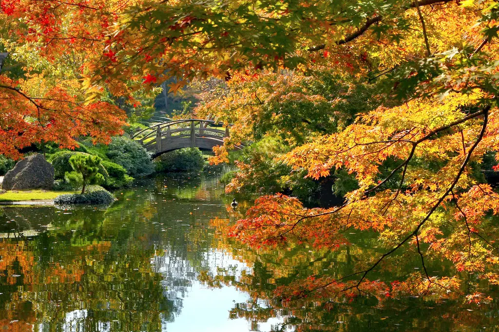 Taman Jepang dengan efek bokeh yang indah