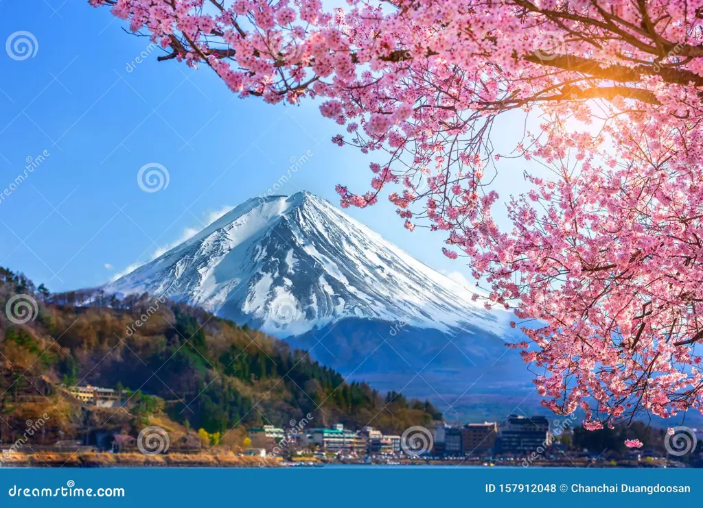 Pemandangan Gunung Fuji dan bunga sakura yang sedang mekar