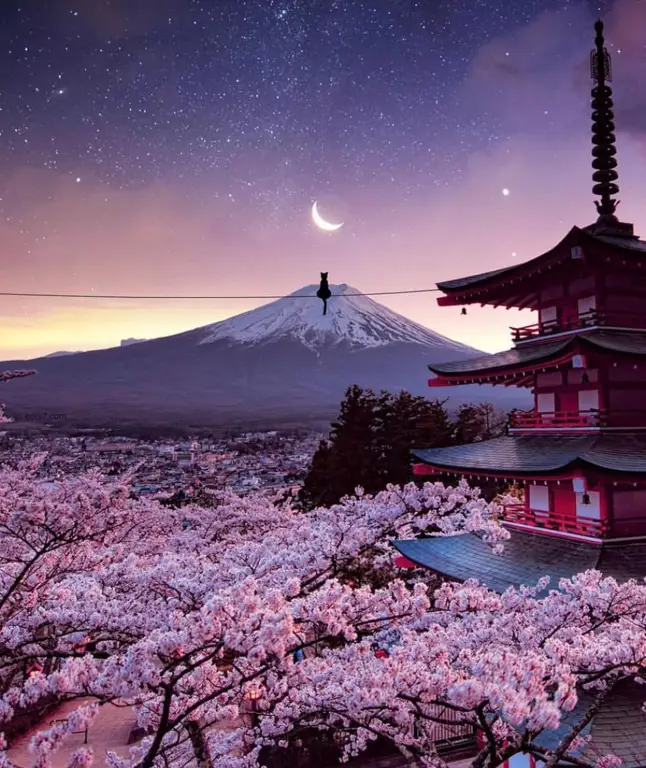 Gunung Fuji dengan bunga sakura