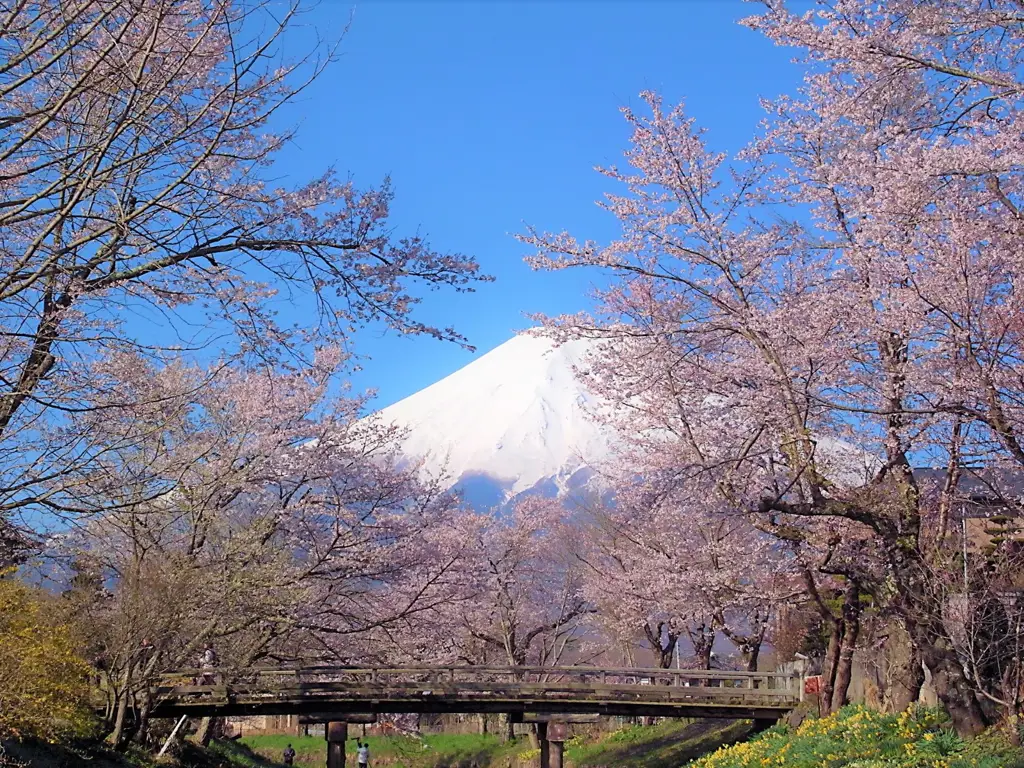 Pemandangan Gunung Fuji yang indah