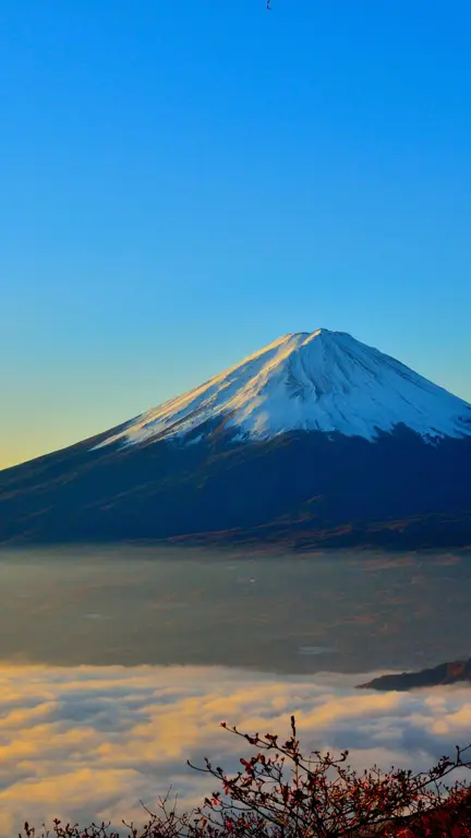 Gunung Fuji yang megah