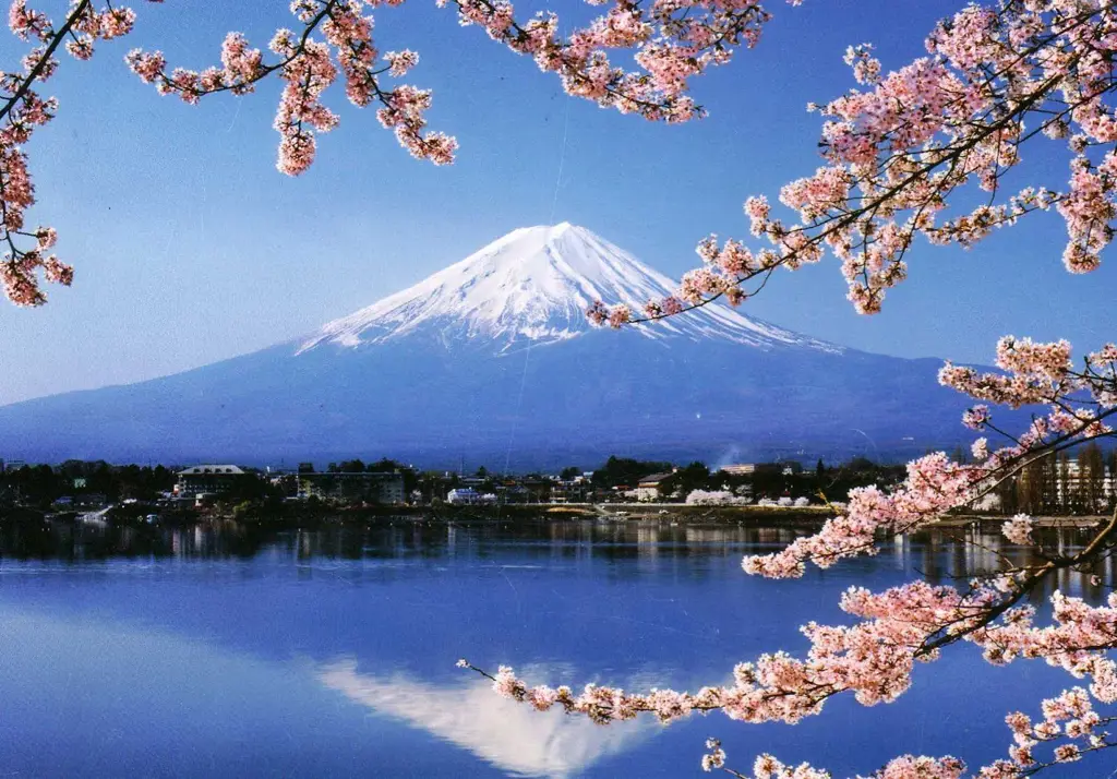 Gambar Gunung Fuji yang megah