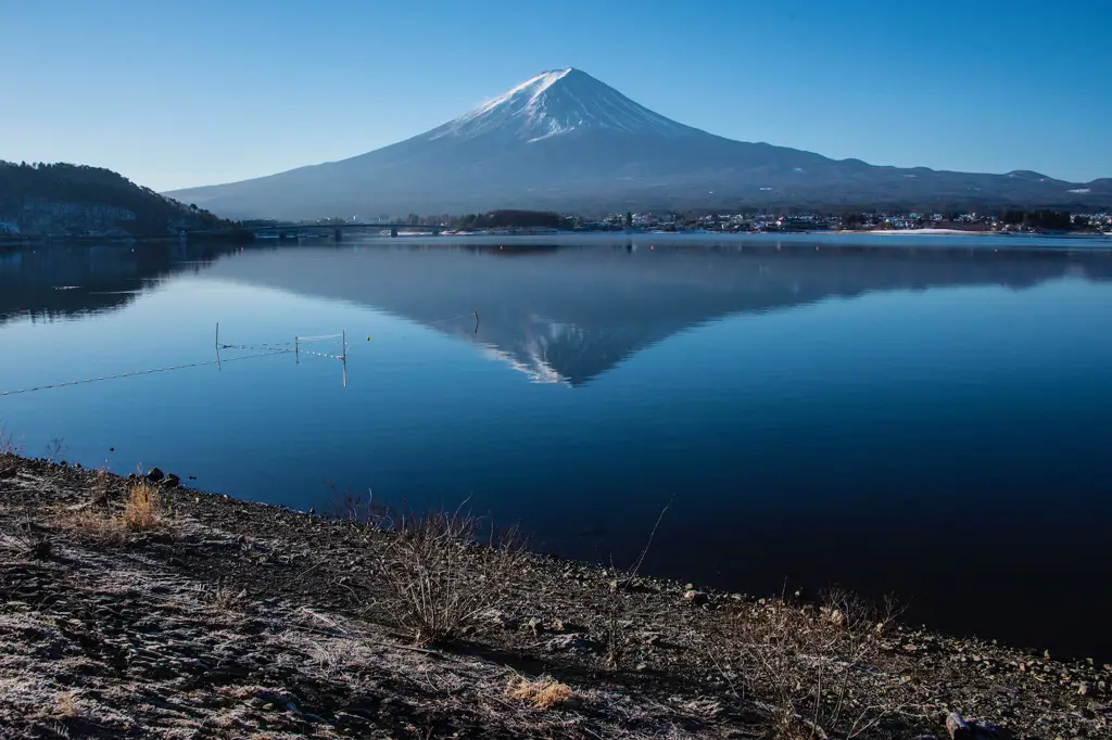 Pemandangan Gunung Fuji yang megah