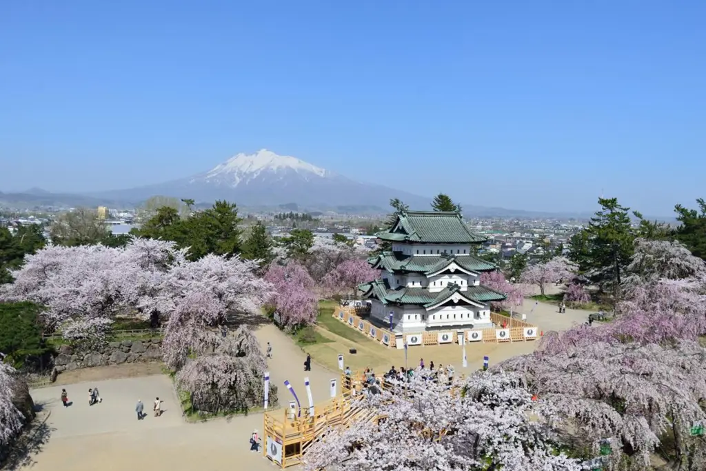 Kastil Hirosaki saat musim sakura