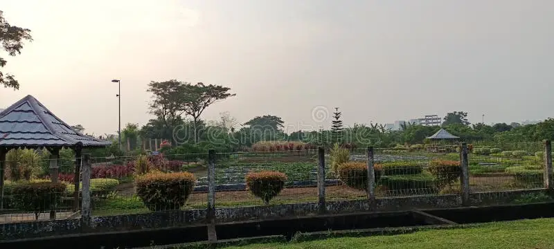 Pemandangan Kota Palembang